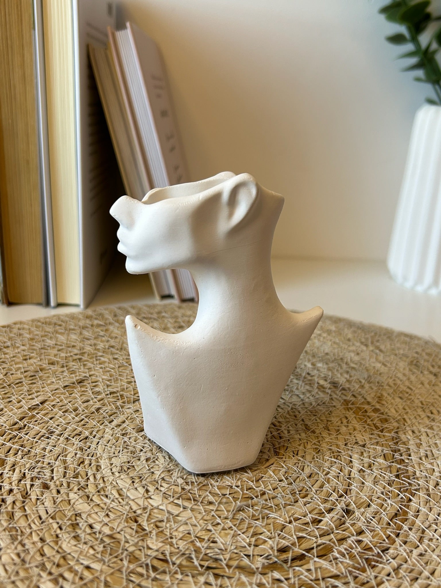 Pack jarrones mujeres